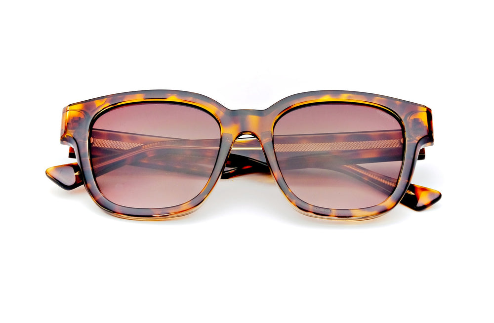 Aldo Havana