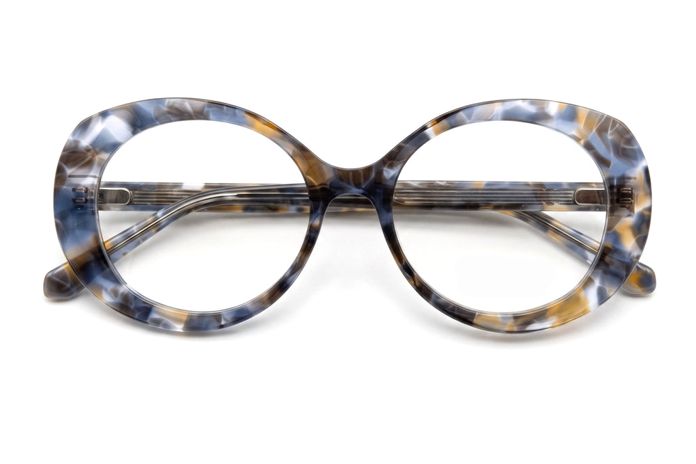 Azdora Shiny Tortoise